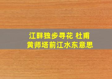 江畔独步寻花 杜甫 黄师塔前江水东意思